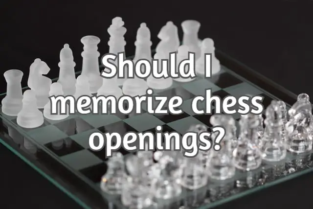Should you memorize chess openings? (The truth!)