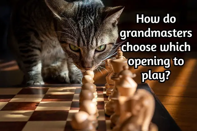 How do grandmasters choose which opening to play?