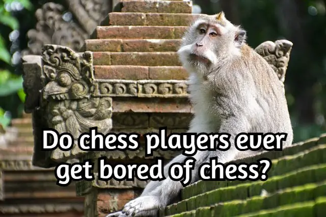 Do chess players ever get bored of chess? (The truth)